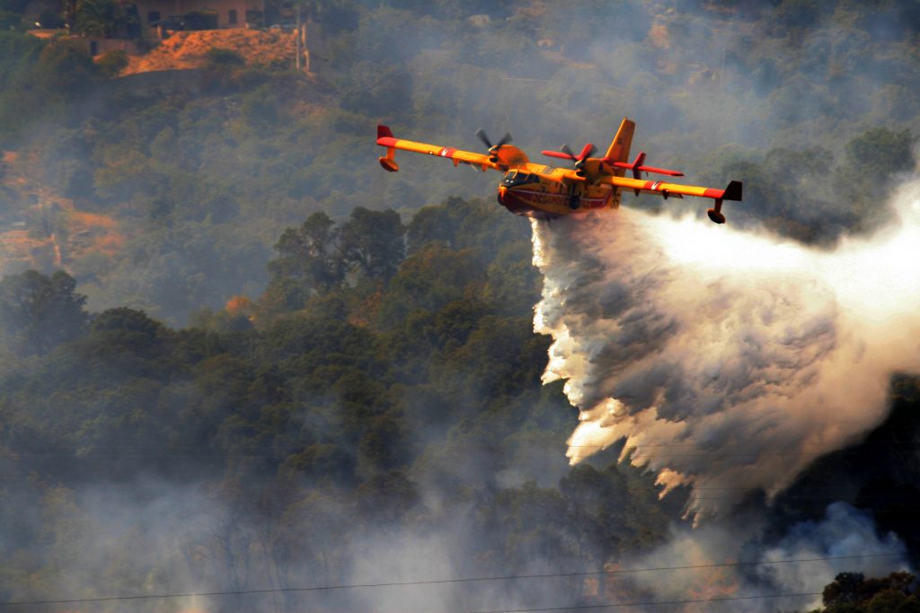 © Adobe Stock / Jean-Marie MAILLET