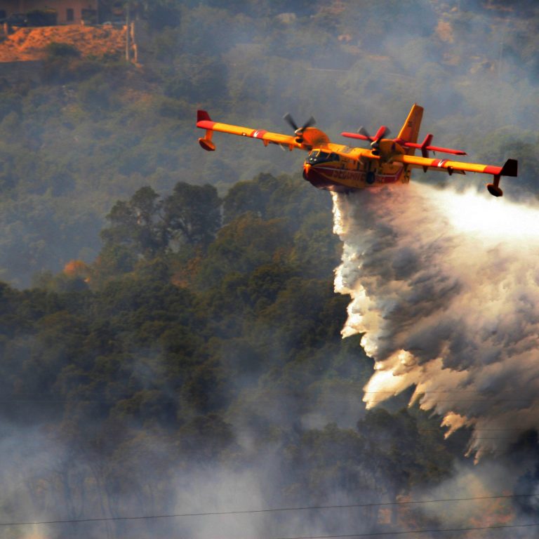 © Adobe Stock / Jean-Marie MAILLET © Adobe Stock / Jean-Marie MAILLET