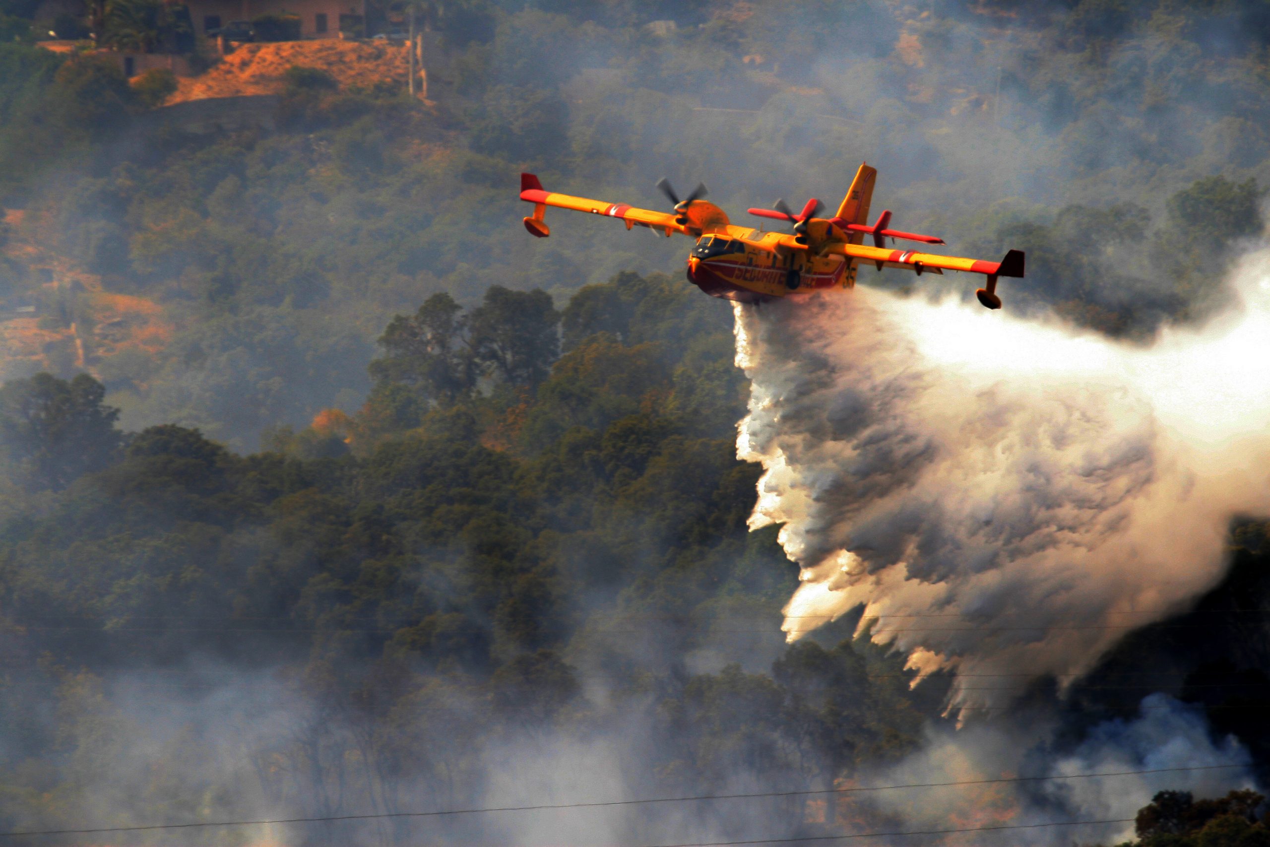 © Adobe Stock / Jean-Marie MAILLET