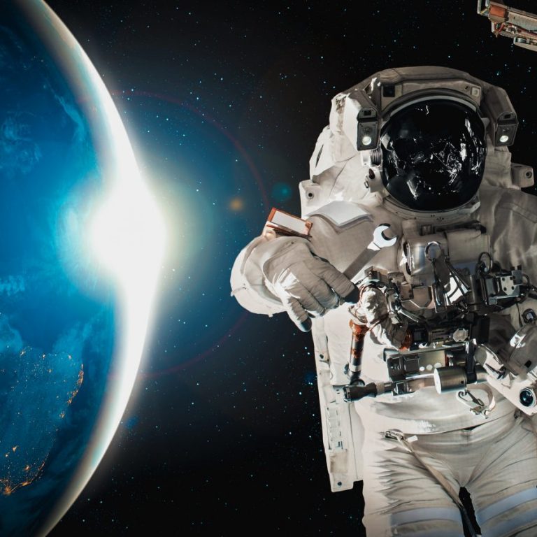 © Shutterstock/ Summit Art Creations